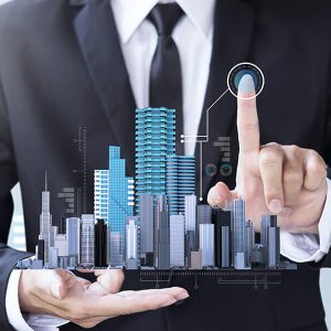 IT Strategy Development